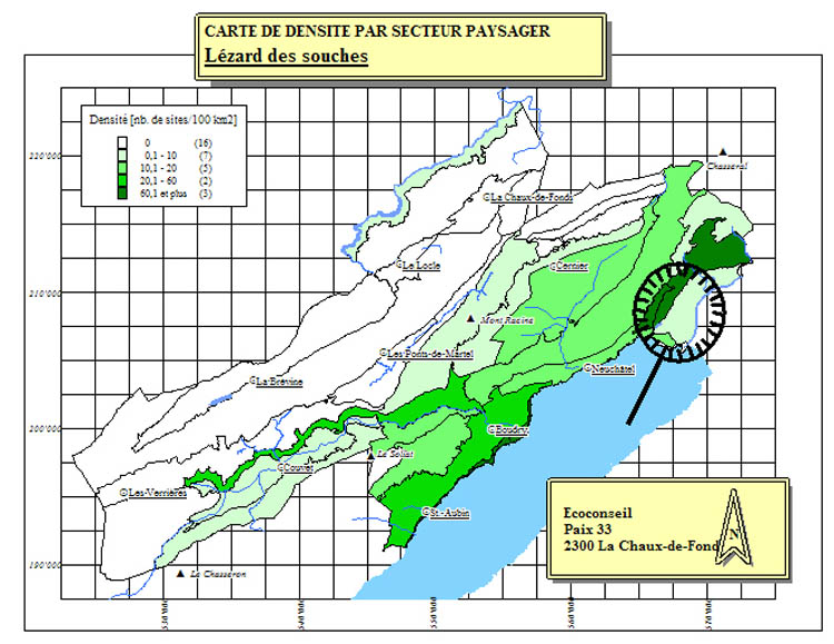 Densité de présence du lézard agile par zones homogènes Densité de présence du lézard agile par zones homogènes