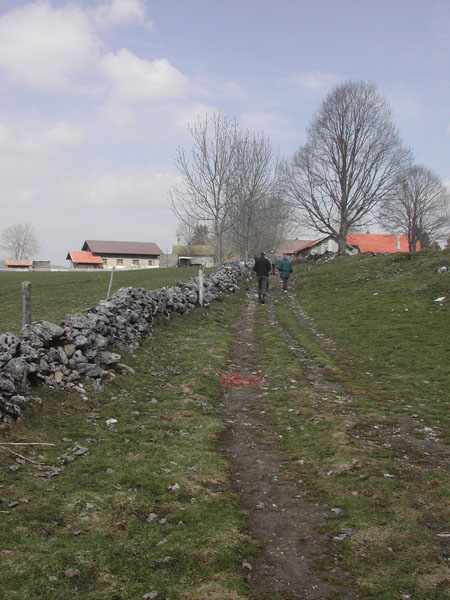 Chemin de la Brûlée vers St-Olivier, avant son aménagement Chemin de la Brûlée vers St-Olivier, avant son aménagement